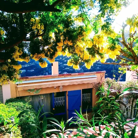 Bed & Breakfast Coeurs De Pirates: Exotic Provencal Retreat Cavalaire-sur-Mer
